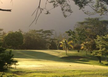 Les Paillottes de La Ouenghi changeront-elles de mains avant la fin de l’année ?